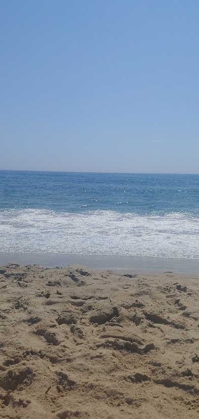 A guide to Living Your Best Summer Life